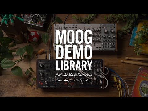 Moog Labyrinth по цене 109 900 ₽