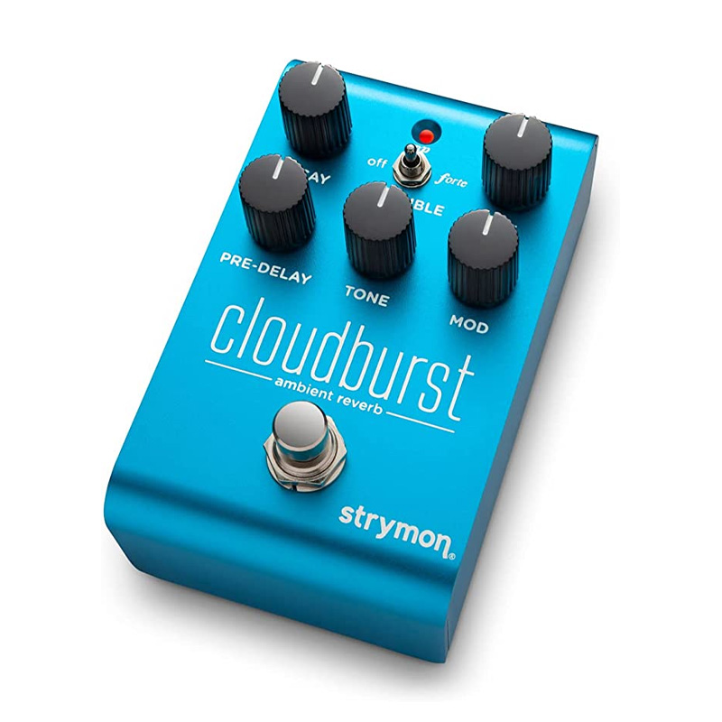 Strymon Cloudburst Reverberator по цене 41 550 ₽