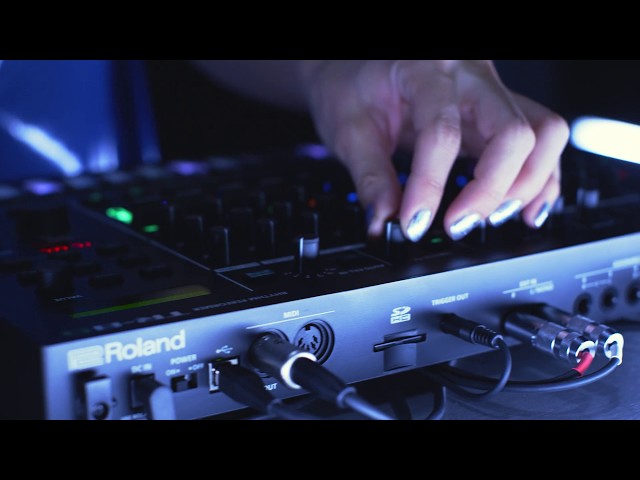 Rane Performer по цене 343 000 ₽