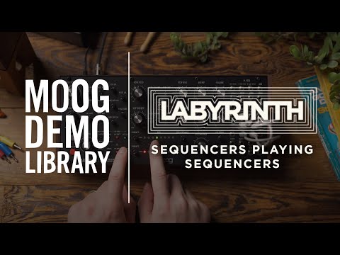 Moog Labyrinth по цене 109 900 ₽