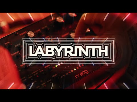 Moog Labyrinth по цене 109 900 ₽