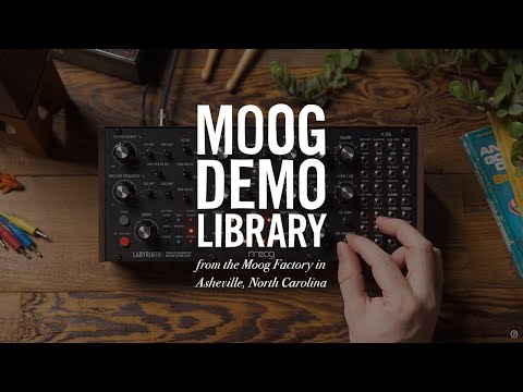 Moog Labyrinth по цене 109 900 ₽