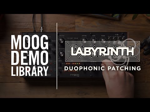 Labyrinth | Duophonic Patching