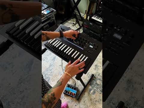 Korg Minilogue XD BW по цене 92 000 ₽