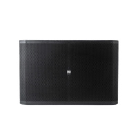 Echo Acoustic EA218SP по цене 235 000 ₽