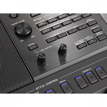 Yamaha PSR-SX900 по цене 331 187.00 ₽